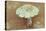 Field Mushroom-Den Reader-Stretched Canvas