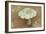 Field Mushroom-Den Reader-Framed Photographic Print