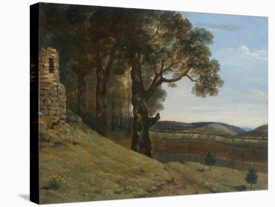 Field near Pencerrig, 1776 (Oil on Paper)-Thomas Jones-Stretched Canvas