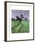 Field - Norfolk-Anthony Amies-Framed Giclee Print