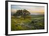 Field of Arrowleaf Balsamroot, Lupine and an Oak Tree at Columbia Hills State Park, Mt. Hood-Gary Luhm-Framed Photographic Print