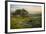 Field of Arrowleaf Balsamroot, Lupine and an Oak Tree at Columbia Hills State Park, Mt. Hood-Gary Luhm-Framed Photographic Print