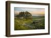 Field of Arrowleaf Balsamroot, Lupine and an Oak Tree at Columbia Hills State Park, Mt. Hood-Gary Luhm-Framed Photographic Print