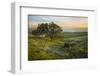 Field of Arrowleaf Balsamroot, Lupine and an Oak Tree at Columbia Hills State Park, Mt. Hood-Gary Luhm-Framed Photographic Print