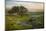 Field of Arrowleaf Balsamroot, Lupine and an Oak Tree at Columbia Hills State Park, Mt. Hood-Gary Luhm-Mounted Photographic Print