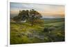 Field of Arrowleaf Balsamroot, Lupine and an Oak Tree at Columbia Hills State Park, Mt. Hood-Gary Luhm-Framed Photographic Print