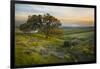 Field of Arrowleaf Balsamroot, Lupine and an Oak Tree at Columbia Hills State Park, Mt. Hood-Gary Luhm-Framed Photographic Print