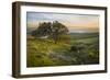 Field of Arrowleaf Balsamroot, Lupine and an Oak Tree at Columbia Hills State Park, Mt. Hood-Gary Luhm-Framed Photographic Print