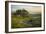 Field of Arrowleaf Balsamroot, Lupine and an Oak Tree at Columbia Hills State Park, Mt. Hood-Gary Luhm-Framed Photographic Print