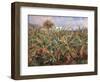 Field of Banana Trees-Pierre-Auguste Renoir-Framed Giclee Print