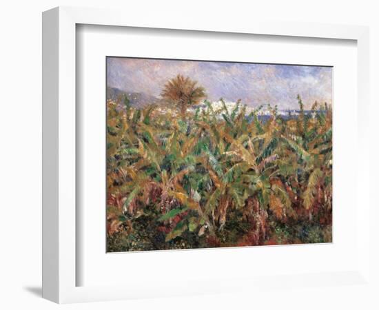 Field of Banana Trees-Pierre-Auguste Renoir-Framed Giclee Print