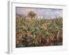 Field of Banana Trees-Pierre-Auguste Renoir-Framed Giclee Print