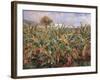 Field of Banana Trees-Pierre-Auguste Renoir-Framed Giclee Print