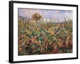 Field of Banana Trees-Pierre-Auguste Renoir-Framed Giclee Print