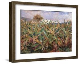 Field of Banana Trees-Pierre-Auguste Renoir-Framed Giclee Print