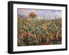 Field of Banana Trees-Pierre-Auguste Renoir-Framed Giclee Print