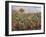 Field of Banana Trees-Pierre-Auguste Renoir-Framed Giclee Print