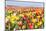 Field of Beautiful Colorful Tulips in the Netherlands-kruwt-Mounted Photographic Print