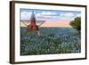 Field of Blue Bonnets, Texas State Flower-null-Framed Art Print