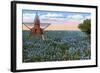 Field of Blue Bonnets, Texas State Flower-null-Framed Art Print