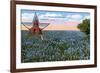 Field of Blue Bonnets, Texas State Flower-null-Framed Art Print
