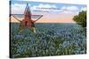 Field of Blue Bonnets, Texas State Flower-null-Stretched Canvas