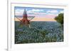 Field of Blue Bonnets, Texas State Flower-null-Framed Premium Giclee Print