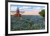 Field of Blue Bonnets, Texas State Flower-null-Framed Premium Giclee Print