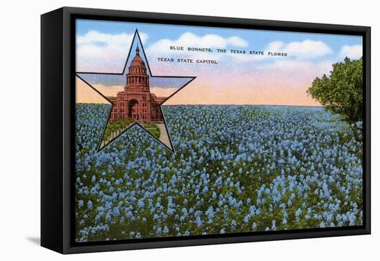 Field of Blue Bonnets, Texas State Flower-null-Framed Stretched Canvas