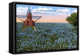 Field of Blue Bonnets, Texas State Flower-null-Framed Stretched Canvas