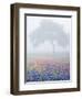 Field of Bluebonnets and Paintbrush on Foggy Morning, Texas, USA-Julie Eggers-Framed Photographic Print