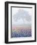 Field of Bluebonnets and Paintbrush on Foggy Morning, Texas, USA-Julie Eggers-Framed Photographic Print