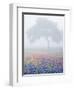 Field of Bluebonnets and Paintbrush on Foggy Morning, Texas, USA-Julie Eggers-Framed Photographic Print