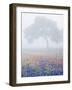 Field of Bluebonnets and Paintbrush on Foggy Morning, Texas, USA-Julie Eggers-Framed Photographic Print