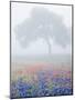 Field of Bluebonnets and Paintbrush on Foggy Morning, Texas, USA-Julie Eggers-Mounted Photographic Print