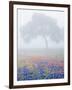 Field of Bluebonnets and Paintbrush on Foggy Morning, Texas, USA-Julie Eggers-Framed Photographic Print