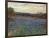 Field of Bluebonnets at Sunset-null-Framed Giclee Print