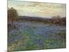 Field of Bluebonnets at Sunset-null-Mounted Giclee Print