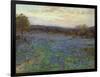 Field of Bluebonnets at Sunset-null-Framed Giclee Print