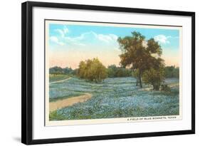 Field of Bluebonnets, Texas-null-Framed Art Print