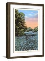 Field of Bluebonnets, Texas-null-Framed Art Print