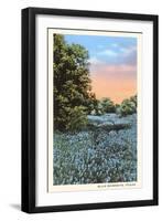 Field of Bluebonnets, Texas-null-Framed Art Print