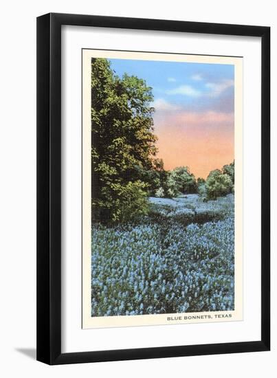 Field of Bluebonnets, Texas-null-Framed Art Print