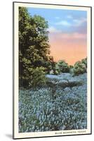 Field of Bluebonnets, Texas-null-Mounted Art Print