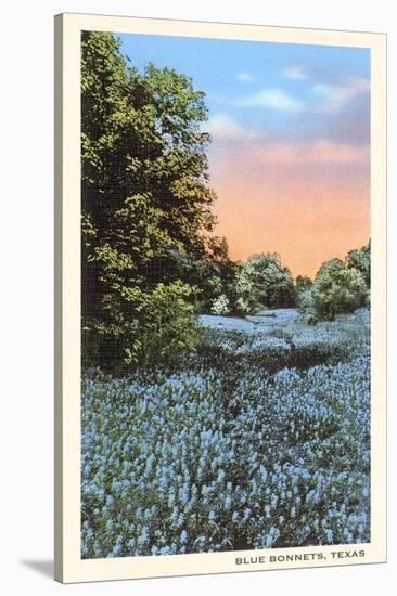 Field of Bluebonnets, Texas-null-Stretched Canvas