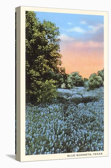 Field of Bluebonnets, Texas-null-Stretched Canvas