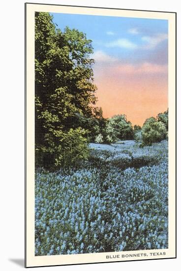 Field of Bluebonnets, Texas-null-Mounted Art Print