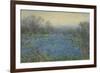 Field of Bluebonnets-null-Framed Giclee Print