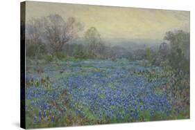 Field of Bluebonnets-null-Stretched Canvas