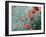 Field of Bright Red Corn Poppy Flowers in Summer-Tetyana Kochneva-Framed Photographic Print